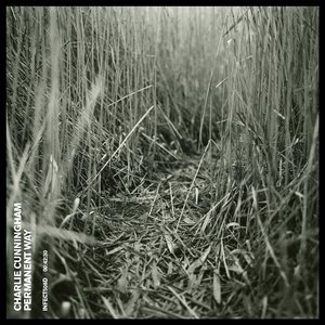 丰乳肥臀影院高清在线播放免费
