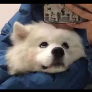 WWW男女射精（霸道总裁）
