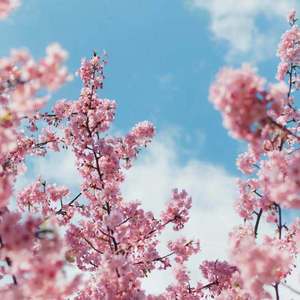 韩国主播最惊艳的舞蹈视频
