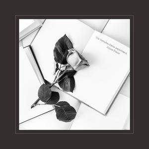 Chinese刘婷无套Gay
