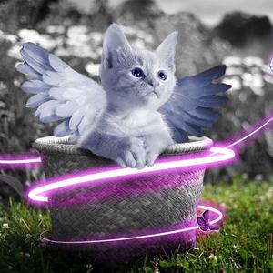 现实中女生被男生强奸的视频
