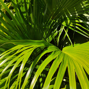 黑客破解夫妇啪啪88AV
